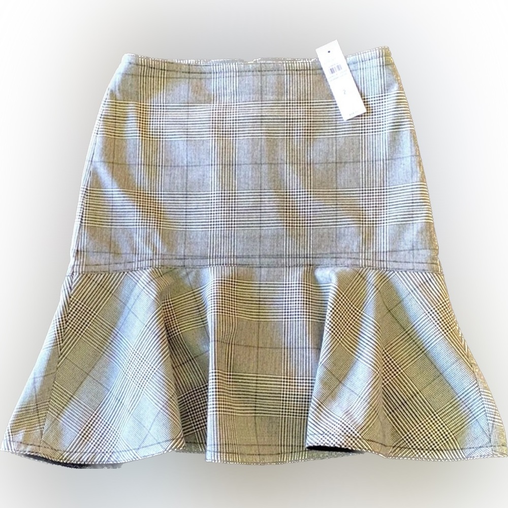 NWT, Ann Taylor Skirt, Size 2 (Retail $98)